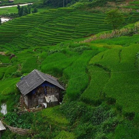 Freedom Homestay&Trekking Sa Pa Eksteriør bilde