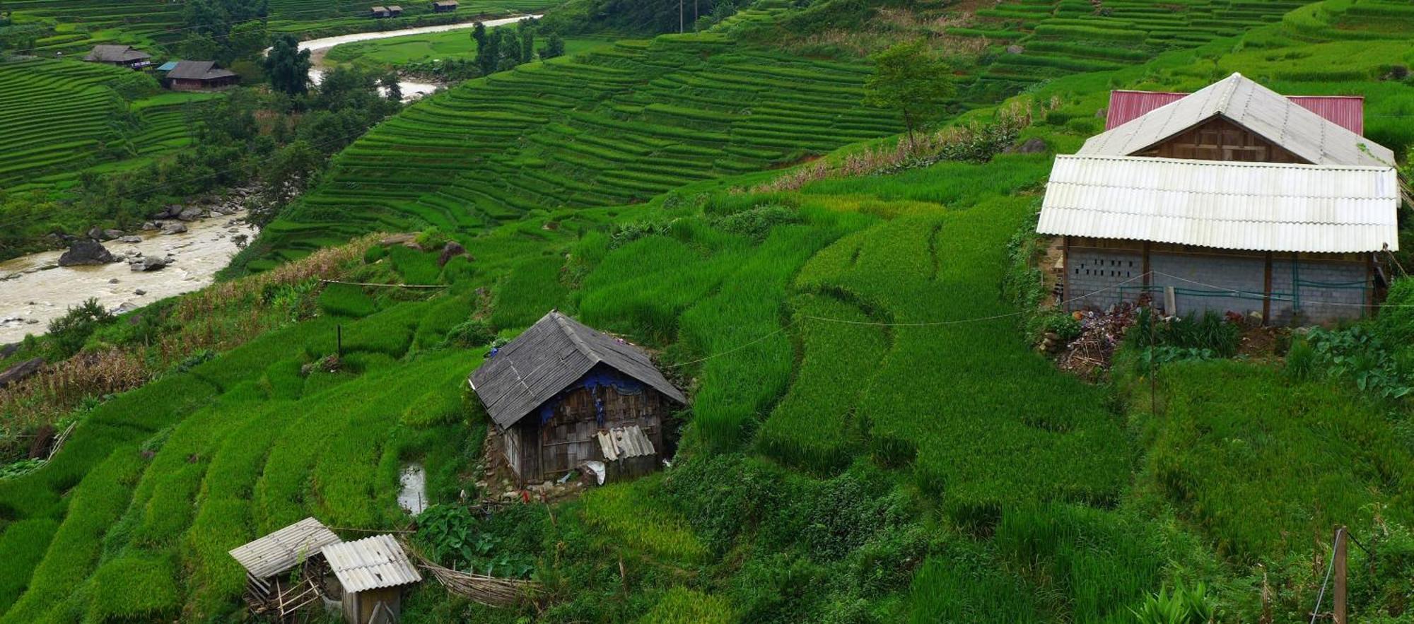Freedom Homestay&Trekking Sa Pa Eksteriør bilde