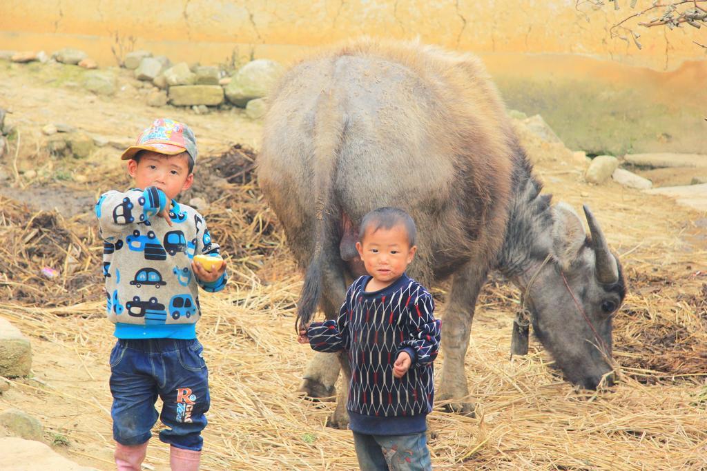 Freedom Homestay&Trekking Sa Pa Eksteriør bilde