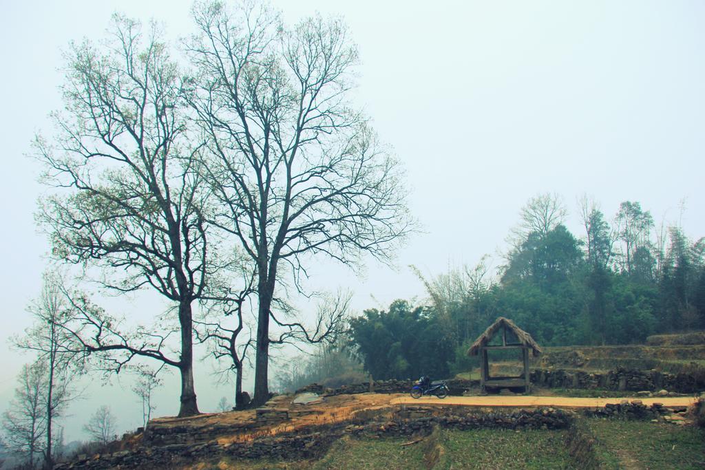 Freedom Homestay&Trekking Sa Pa Eksteriør bilde