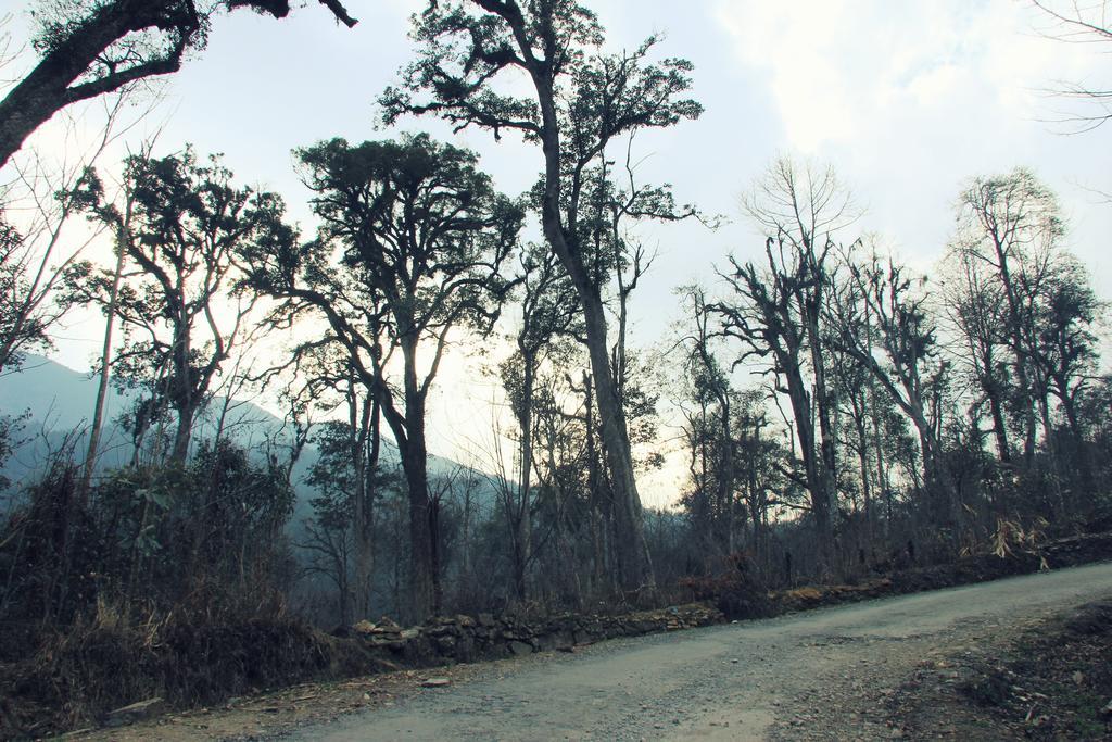 Freedom Homestay&Trekking Sa Pa Eksteriør bilde