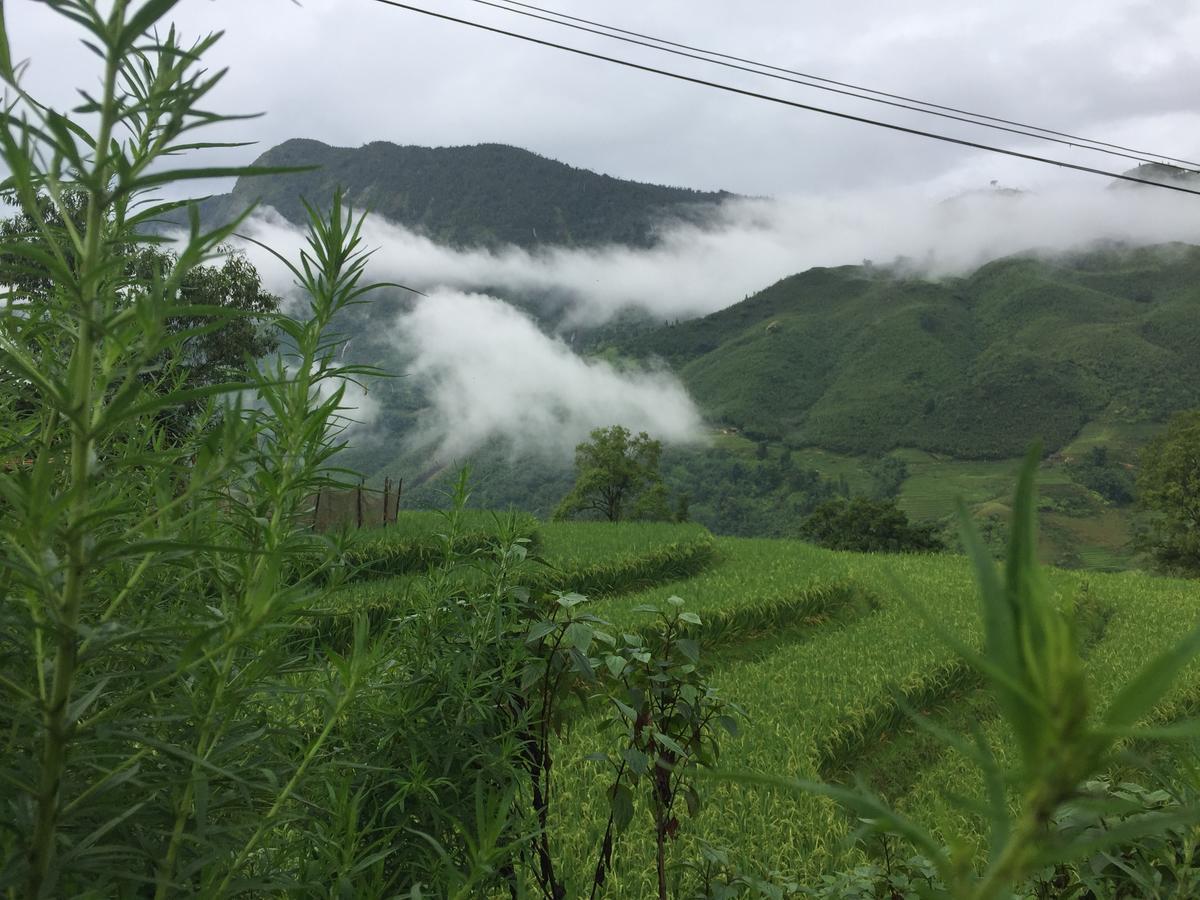 Freedom Homestay&Trekking Sa Pa Eksteriør bilde