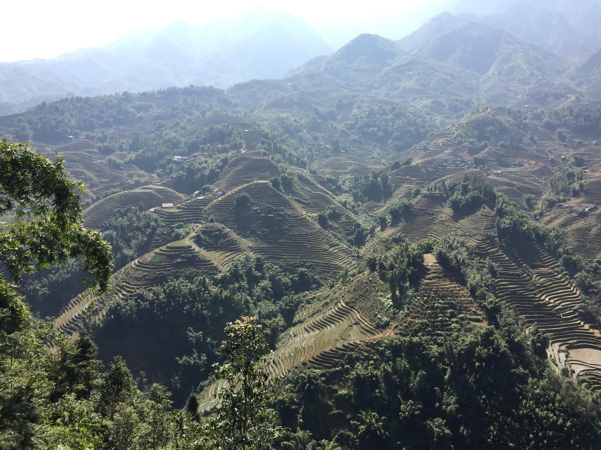 Freedom Homestay&Trekking Sa Pa Eksteriør bilde